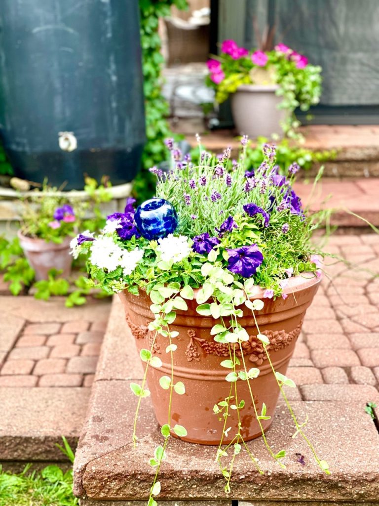 Flowers in a planter