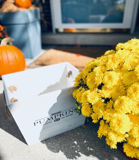 Placing a yellow mum in a planter on the proch