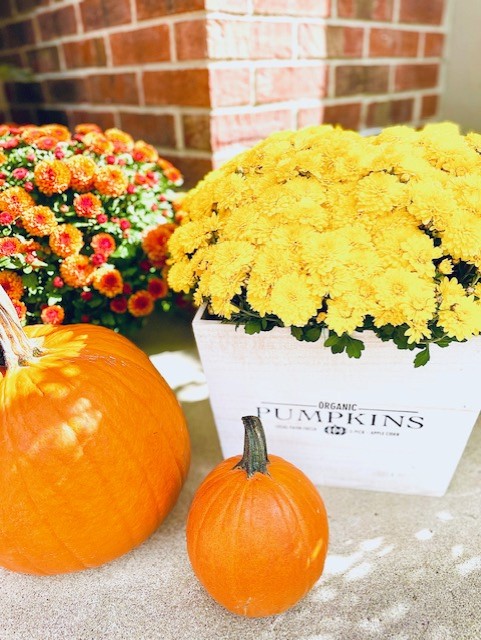 Pumpkins placed on the porch for decor