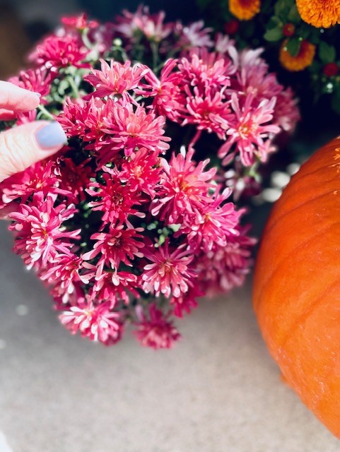 Mums and pumpkins placed on the small porch