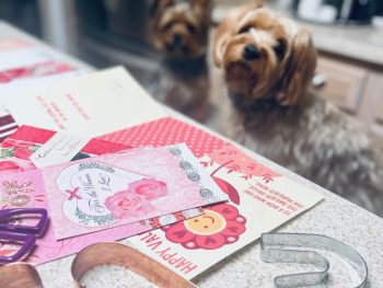 How to create the most special Valentine Garland, the dogs are helping