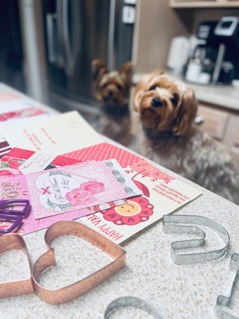 How to create the most special Valentine Garland, the dogs are helping